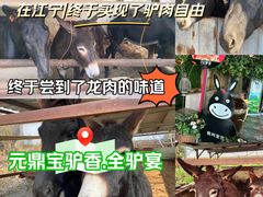 -元鼎宝驴香·全驴宴(江宁店)