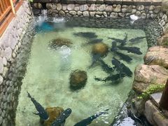 -耕渔小院·湖南鱼鲜(望城店)