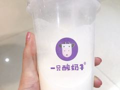 -一只酸奶牛(八一路店)