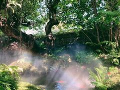 -Chom Cafe and Restaurant