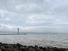 -上海吴淞炮台湾国家湿地公园