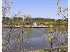 -东郊湿地公园