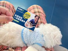 -佩兹宠物医院肿瘤专科·眼科·牙科(黄浦店)