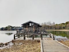 -渤公岛生态公园