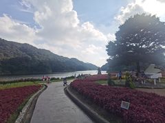 -广州市石门国家森林公园