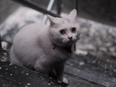 -作咖啡(养育巷店)