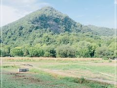 -八卦田遗址公园
