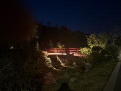 -羊山湖公园