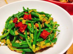 小炒黄瓜苗-掌柜的店·河南菜(新天地店)
