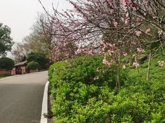 -南京市江宁方山