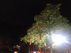 -森波拉火山温泉