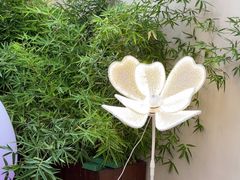 -蘇锦宴·淮扬菜烤鸭·小院(三元桥霄云路店)