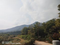 -阳台山自然风景区