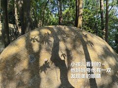 -火炉山森林公园