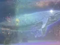 -常州海昌海洋探索馆