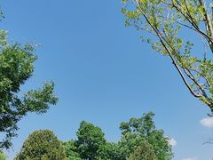 -秦始皇帝陵博物院-丽山园