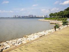 -深圳湾公园(南山区)