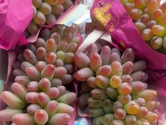 -马陆小张葡萄园农家乐