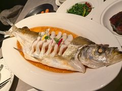 -醉庐·新上海菜(南京西路店)