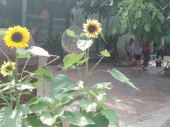 古韵农庄烧烤乐园-古韵山庄