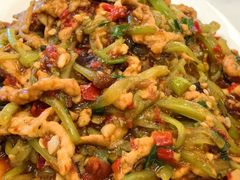 -陈麻婆豆腐总店