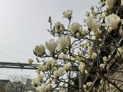 -半坡国际艺术区