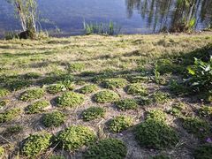 -白鹭湾湿地公园