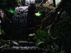 -多彩贵州城极地海洋世界