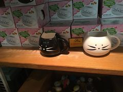 -猫咪博物馆(顶澳仔猫街店)