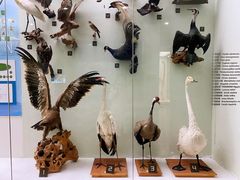 -国家自然博物馆