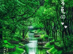 -北坞公园