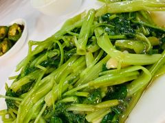 蟹盖蒸水蛋-新陶陶酒家