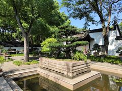 -上海醉白池公园