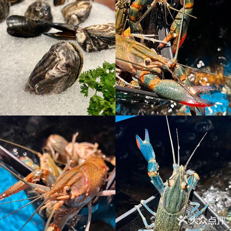 来试试风靡全美的卡真风味手抓海鲜‼️🫱🦐🐟🦀🫲