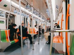 -杨高南路(地铁站)