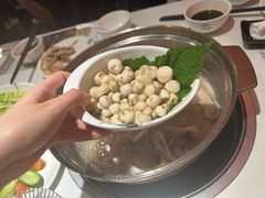 -烹然四季椰子鸡火锅(姚家园万象汇店)