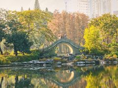 -四海公园(南山区)