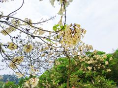 -石燕湖生态旅游景区