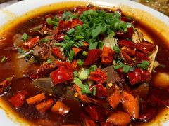 锅仔毛血旺-通乐簋街小龙虾(老店)