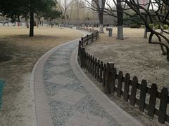 -莲花池公园