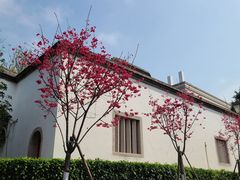 -乌山风景区