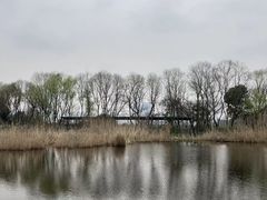 -西湖风景区-江洋畈生态公园