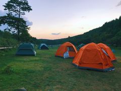 -武陵山森林公园