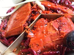 奔驰锅-叁口煮老火锅(东升店)