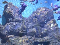-长沙海底世界