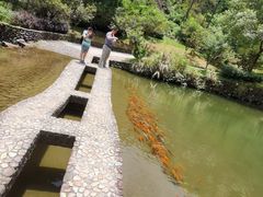 -楠溪江风景名胜区