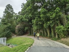 -黄埔油麻山森林公园
