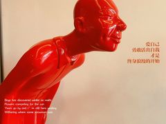 -向外鱼乐·土菜·虹鳟鱼