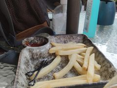 -柴犬高等学院·狗咖·柴犬售卖·宠物训练