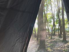-广富林郊野公园